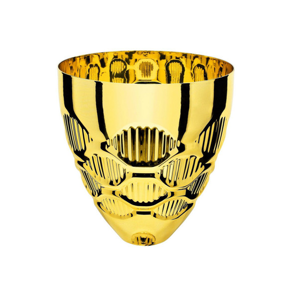 Immagine di CONO OCCHIALI GOLD D. 220