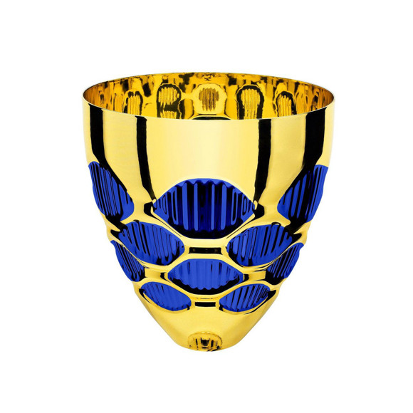 Immagine di CONO OCCHIALI GOLD-BLUE D. 100