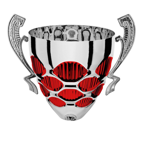 Immagine di CONO OCCHIALI SILVER-RED D. 240 LINEARE