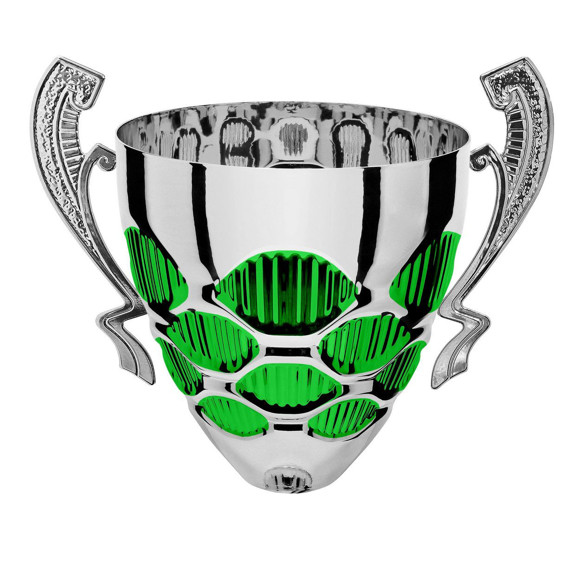 Immagine di CONO OCCHIALI SILVER-GREEN D. 220 LINEARE