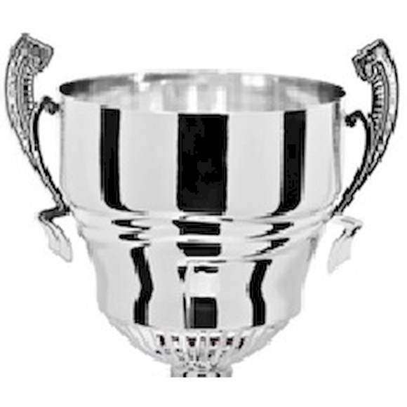 Immagine di 3/4 SANTENA SILVER D. 180 LINEARE