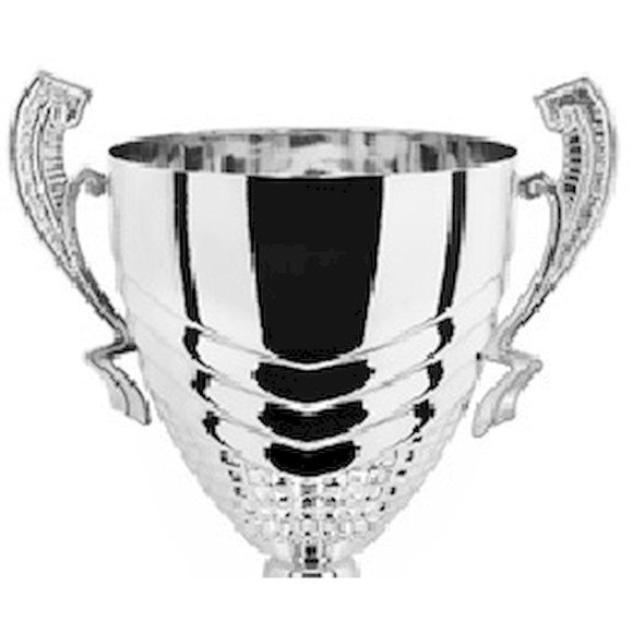 Immagine di CONO GABBIANO SILVER D. 140 MANICO R