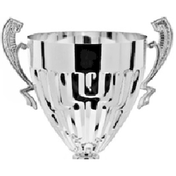 Immagine di CONO COMAO SILVER D. 140 MANICO R