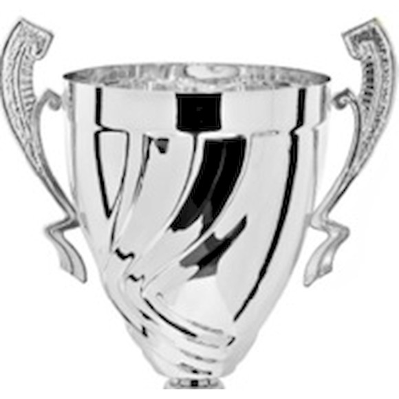 Immagine di CONO RETE SILVER D. 180 MANICO R