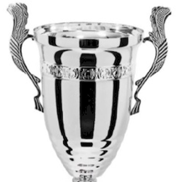 Immagine di CONO 8A82 D.240 MANICO R SILVER