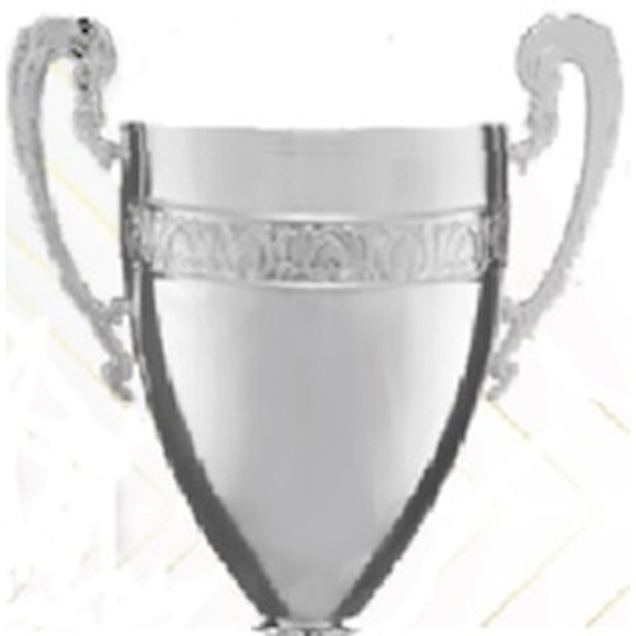 Immagine di CONO 3C44 D.240 SILVER ONDULATA