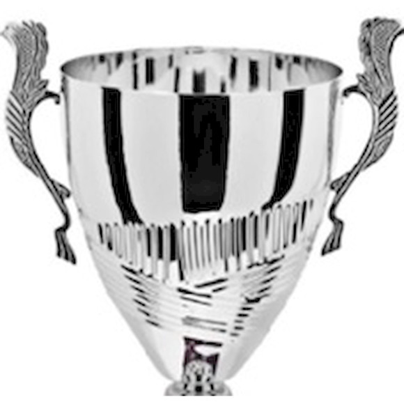 Immagine di CONO 3C13 SILVER D. 220 MANICO R