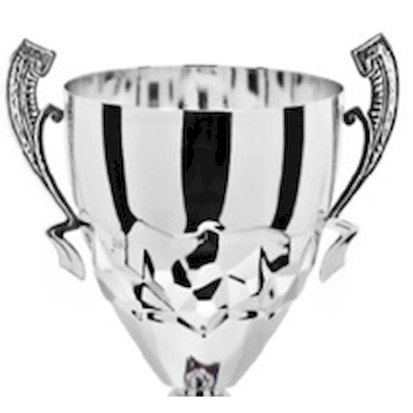Immagine di CONO 3C22 SILVER D. 100 MANICO R