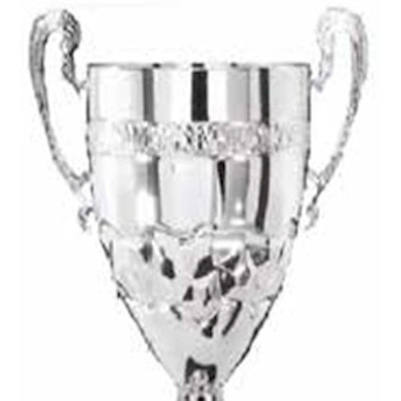 Immagine di CONO 3C37 D.220 SILVER ONDULATA