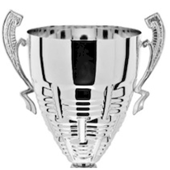 Immagine di CONO CESTINO_02 SILVER- D. 200 MANICO R