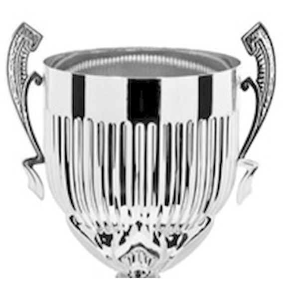 Immagine di 3/4 CONO "2E55" SILVER 200 LINEARE