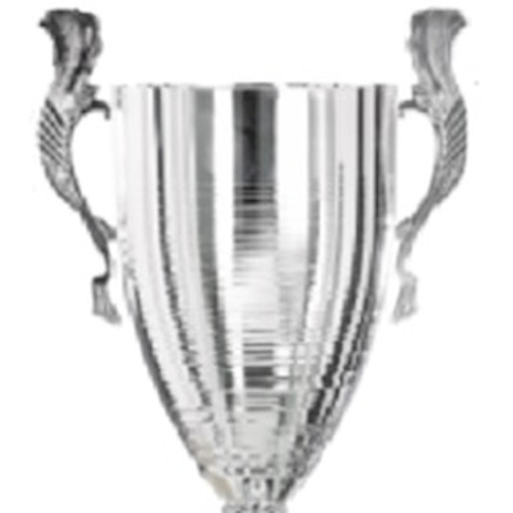 Immagine di CONO 3B39 D.160 SILVER ONDULATA