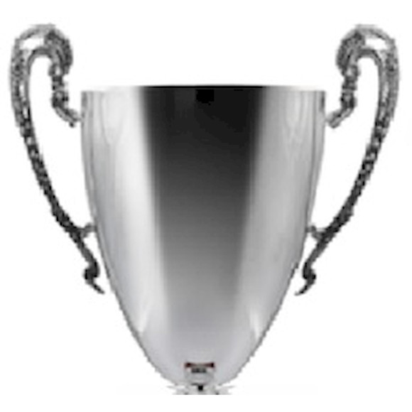 Immagine di CONO "301" SILVER  D. 200 ONDULATA