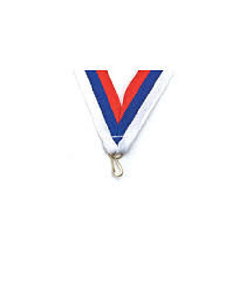 Immagine di RIBBON 22mm * 800mm WHITE BLUE RED