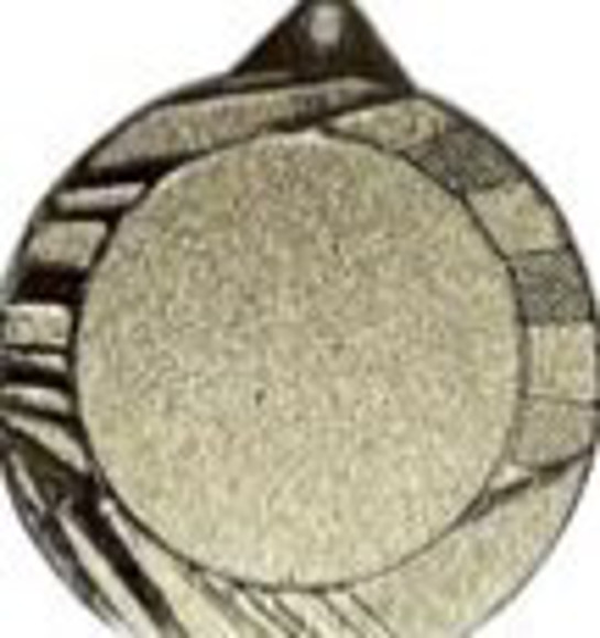 Immagine di Iron Medal MOD D diam 70 SILVER